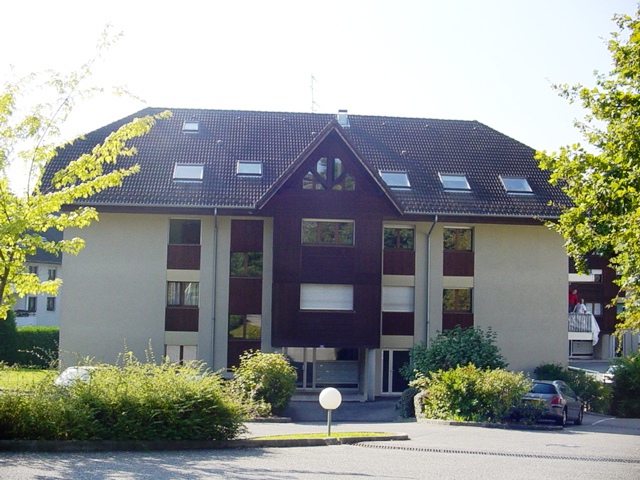 T2